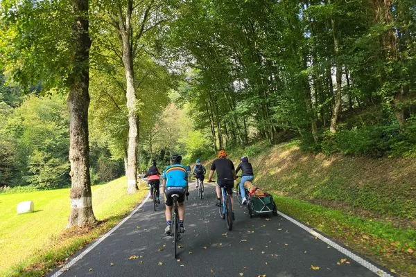 Fietskar of aanhanger voor de hond: het verschil in opbouw en gebruik