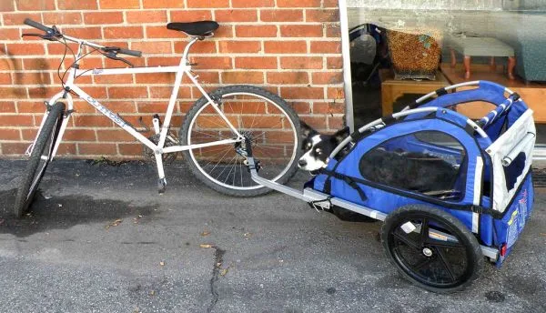 Opvouwbare fietskar voor de hond: voordelen en waar u op let bij het vouwmechanisme