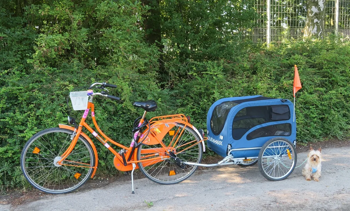 Veiligheid van een fietskar voor de hond: waar moet u op letten onderweg?